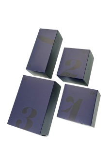 Подарочный набор Satisfyer Advent Box Love