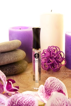 Блеск для губ для орального секса Shunga Клубника и шампанское 10 мл