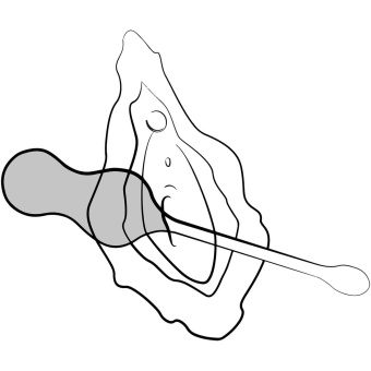 Виброяйцо Romp Cello с пультом управления