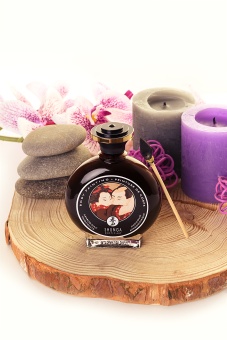 Съедобная краска для тела Shunga Возбуждающий шоколад