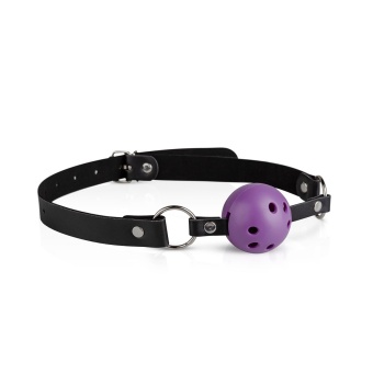 БДСМ-набор из 10 предметов Secret Pleasure Chest Purple Apprentice фиолетовый