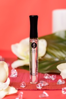 Блеск для губ для орального секса Shunga Клубника и шампанское 10 мл