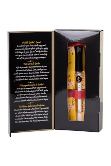 Блеск для губ для орального секса Shunga Клубника и шампанское 10 мл