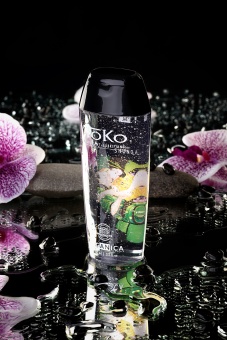 Органический лубрикант на водной основе Shunga Toko Organica 165 мл