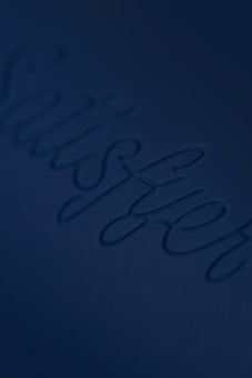 Вибратор универсальный Satisfyer Partner Multifun 3 Endless Fun синий