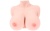 Мастурбатор-полуторс с пышным бюстом TITTIES F_cup